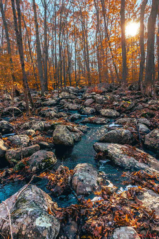 Vibrant Rocky Creek In Fall Photo Print