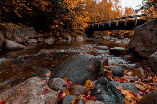 Haystack Bridge In Fall Photo Print