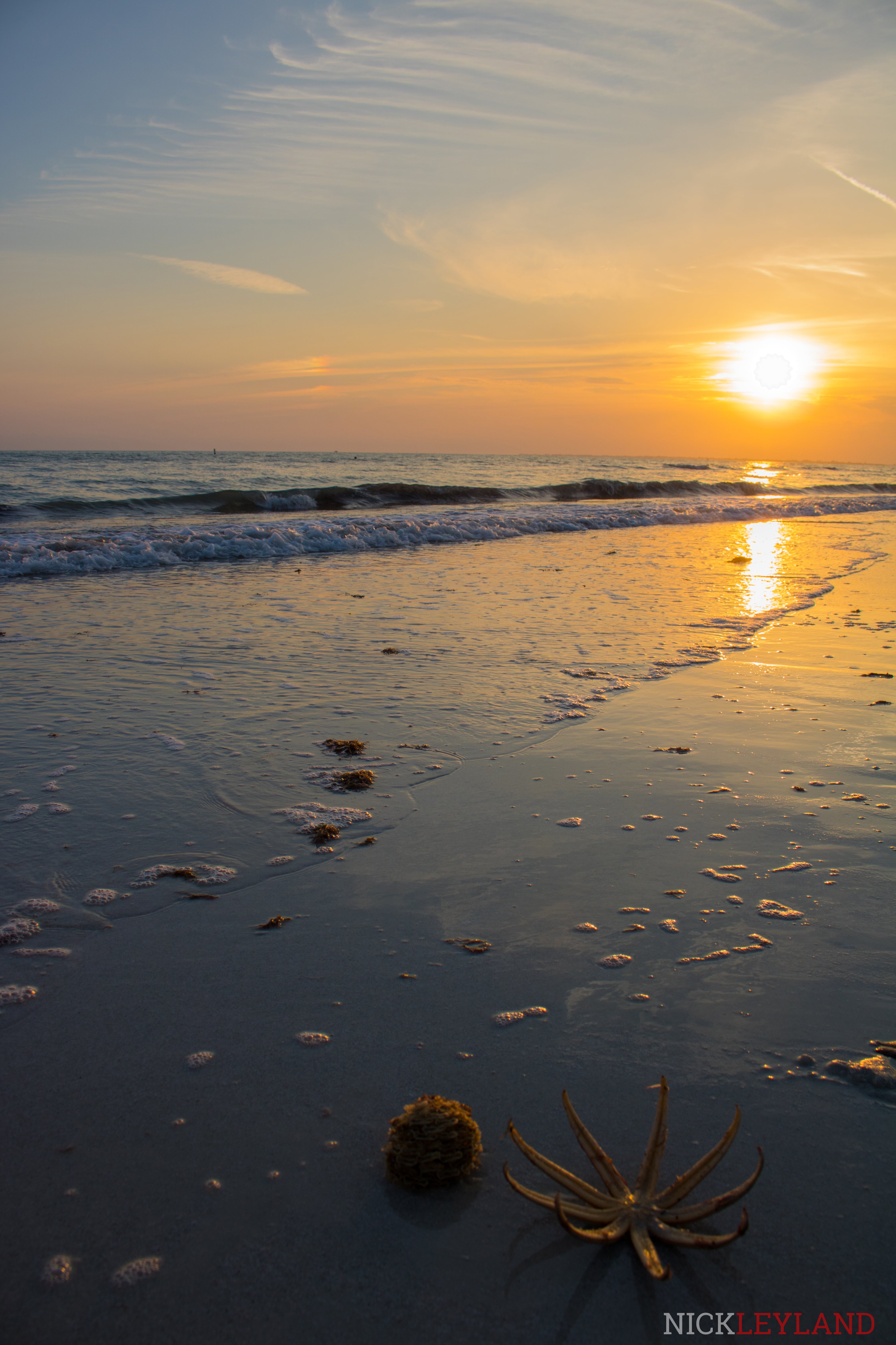 IMG_1908-Edit.jpg?v=1720824328