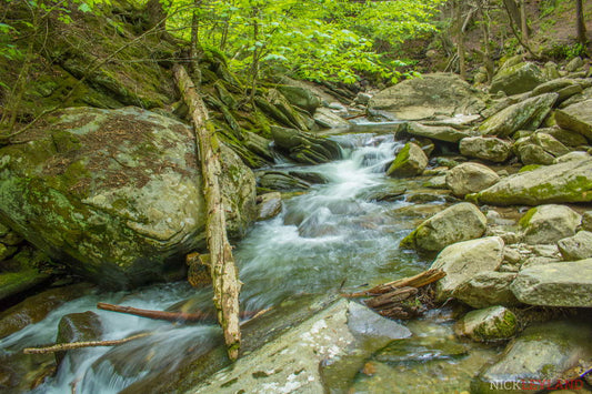 Hamilton Falls Stream Photo Print